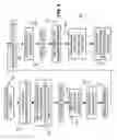 Fig. 08 - Proximity based wireless network