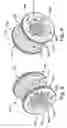 Fig. 09 - Transmission and clutch system