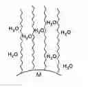 Fig. 01 - Novel chromatographic stationary phase