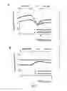 Fig. 08 - Method and apparatus for changing the concentration of a target gas at the blood compartment of a patient's lung during artificial ventilation