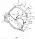 Fig. 07 - Patient interface with an integral cushion and nasal pillows