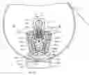 Fig. 01 - Emergency brake device for elevator
