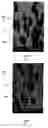 Fig. 06 - Methods of making molybdenum titanium sputtering plates and targets