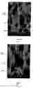 Fig. 08 - Methods of making molybdenum titanium sputtering plates and targets