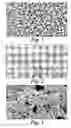 Fig. 02 - Electrode surface coating and method for manufacturing the same