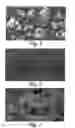 Fig. 02 - Platinum electrode surface coating and method for manufacturing the same