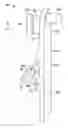 Fig. 01 - Shelf shipping clip