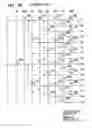 Fig. 37 - Output circuit, digital analog circuit and display device