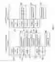 Fig. 04 - Transparent multi-buffering in multi-GPU graphics subsystem