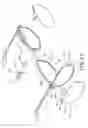Fig. 10 - Combination of eyeglasses and attachment glasses