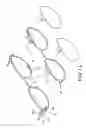 Fig. 12 - Combination of eyeglasses and attachment glasses
