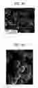 Fig. 04 - METHODS FOR FABRICATION, USES, COMPOSITIONS OF INHALABLE SPHERICAL PARTICLES