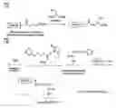 Fig. 02 - Use of receptor sequences for immobilizing gene vectors on surfaces