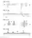 Fig. 22 - Semiconductor device and manufacturing method thereof