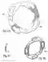 Fig. 25 - Automatic transmission and gear train