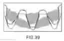 Fig. 46 - Automatic transmission and gear train