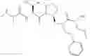 Fig. 320 - IAP BIR domain binding compounds