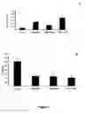 Fig. 05 - HMB uses thereof