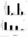 Fig. 07 - HMB uses thereof