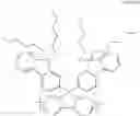 Fig. 32 - Organic electroluminescent polymer having 9,9-di(fluorenyl)-2,7-fluorenyl unit and organic electroluminescent device manufactured using the same