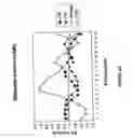 Fig. 08 - siRNA targeting MCL1