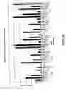 Fig. 11 - siRNA targeting MCL1