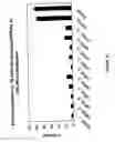 Fig. 18 - siRNA targeting MCL1
