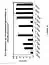 Fig. 32 - siRNA targeting MCL1