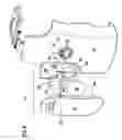 Fig. 04 - Wireless mobile device carrier