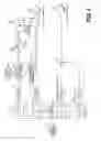 Fig. 04 - Hydraulic system having pressure compensated bypass