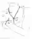 Fig. 01 - Jewelry forming article and method