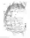 Fig. 04 - Portable decontamination system