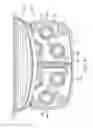 Fig. 04 - Housings including a coupling for different sized conduits