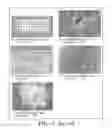 Fig. 05 - Oleaginous corrosion and mildew-inhibiting composition