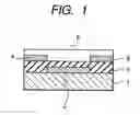 Fig. 02 - Field effect transistor and production process thereof
