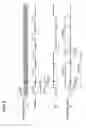 Fig. 06 - Drive apparatus of liquid crystal display device
