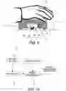 Fig. 06 - INPUT DEVICE FOR POINTING COORDINATES