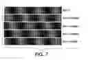 Fig. 06 - Moire -based auto-stereoscopic enhancement of images for duplex rendering on transparencies