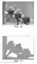 Fig. 09 - Moire -based auto-stereoscopic enhancement of images for duplex rendering on transparencies