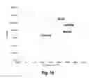 Fig. 09 - Electro-optic displays, and materials for use therein