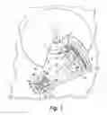 Fig. 02 - Optical pick-up having a rotary arm actuator