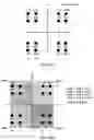 Fig. 16 - Receiving apparatus and transmitting apparatus