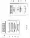 Fig. 12 - INFORMATION RECORDING MEDIUM, INFORMATION RECORDING/PLAYBACK METHOD, AND INFORMATION RECORDING/PLAYBACK APPARATUS