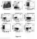 Fig. 02 - Methods for enhancing engraftment of purified hematopoietic stem cells in allogenic recipients