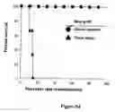 Fig. 13 - Methods for enhancing engraftment of purified hematopoietic stem cells in allogenic recipients