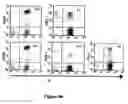 Fig. 15 - Methods for enhancing engraftment of purified hematopoietic stem cells in allogenic recipients