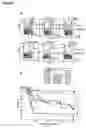 Fig. 18 - Methods for enhancing engraftment of purified hematopoietic stem cells in allogenic recipients