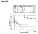 Fig. 19 - Methods for enhancing engraftment of purified hematopoietic stem cells in allogenic recipients