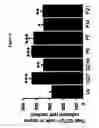 Fig. 07 - Pregnancy-induced oligodendrocyte precursor cell proliferation regulated by prolactin