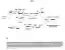 Fig. 02 - Recombinant protein polymer vectors for systemic gene delivery